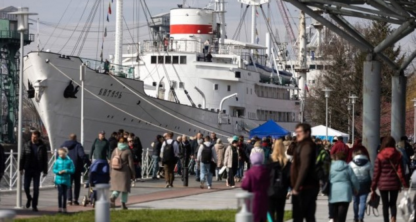 Появилась точная информация о том, когда в Калининграде будут отмечать День селедки в 2024 году