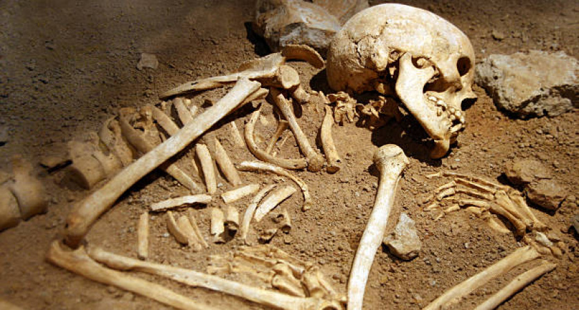 Страшная находка в Сокольниках: там экскаватор откопал тело, которое около года пролежало в земле 