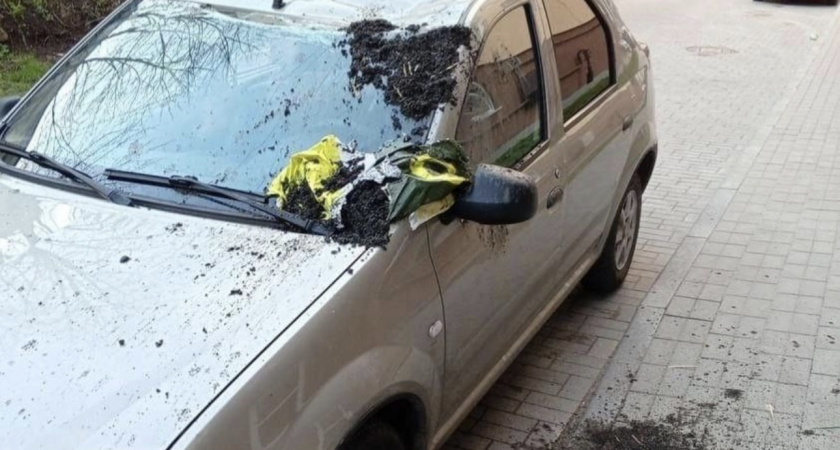 На улице Шевцовой хулиганы разбили машину. В ход пошел мешок с землей. 