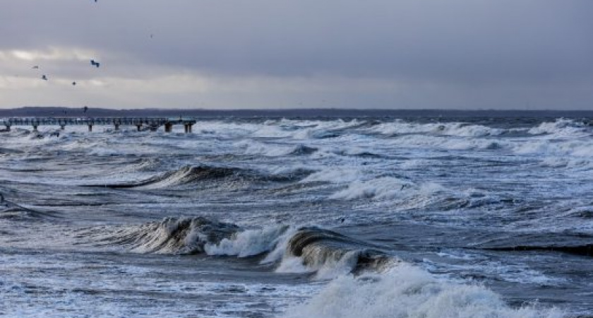 Сыро, но тепло. Прогноз погоды в Калининграде на 5 апреля