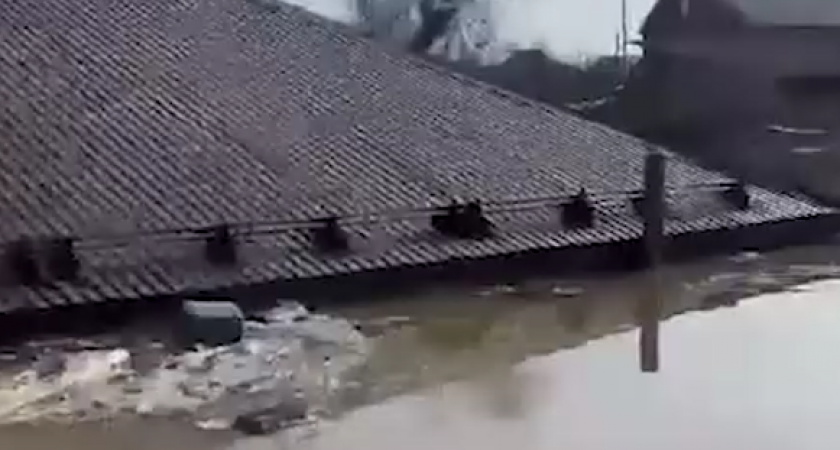 «Бедная собака, стоит на деревяшке какой-то... Как мне ее жалко...» Наводнение в Орске приносит все новые жертвы (ВИДЕО)