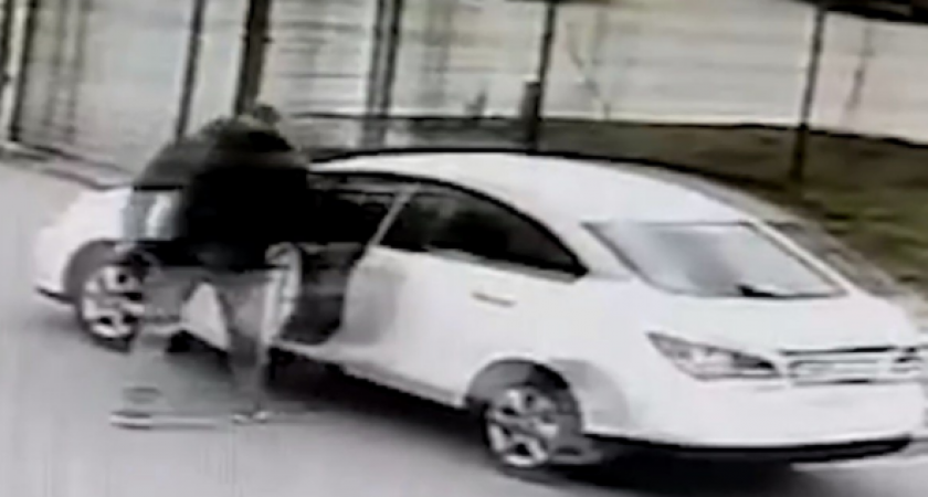 Сам Бастрыкин вмешался с дело избиения в Светлогорске