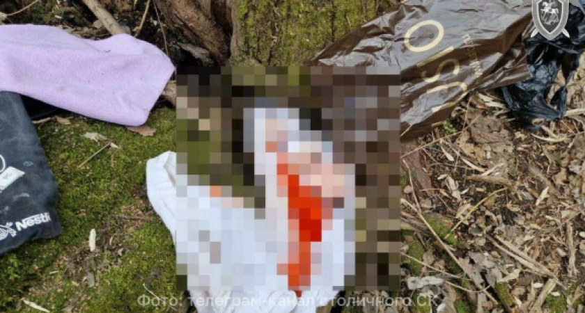В одном из парков Москвы нашли пакет с мертвым...