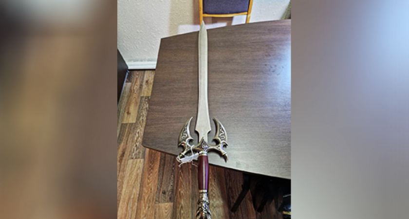 Калининградец решил, что он в видеоигре, а поэтому взял меч и отправился изгонять нечисть из своей жены