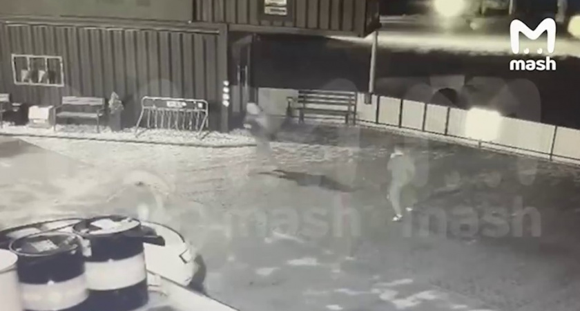 Появилась свежая информация по поводу еще одного пособника террористов, напавших на «Крокус» (ВИДЕО)