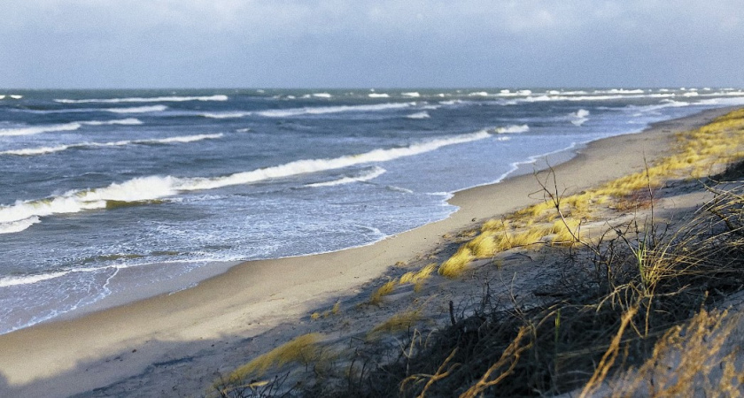 Перед похолоданием и сыростью. Синоптики рассказали, какая погода будет в Калининграде 15 апреля