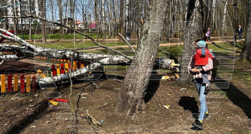 «Три минуты лежала и не шевелилась» Как родители пошли гулять с дочкой на детскую площадку, а в итоге отправили ее в больницу