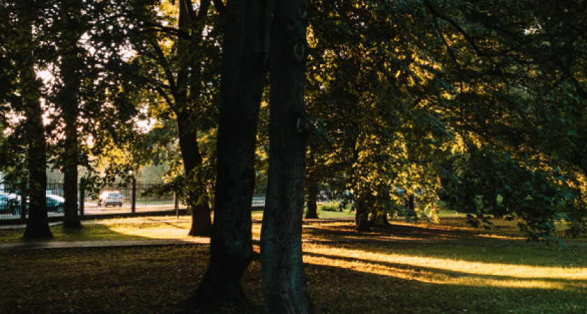 Синоптики рассказали, какую погоду сегодня можно ждать в Калининграде