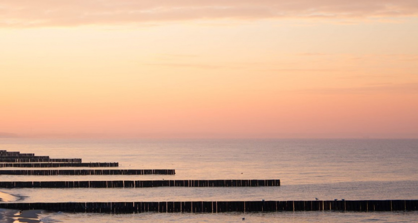 Стабильность — залог успеха. Синоптики рассказали, какая погода будет в Калининграде 3 мая