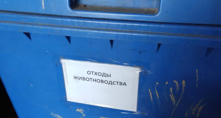 Шокирующая находка инспекторов во время проверки частного зоопарка Москвы. Там сотрудники прокуратуры выявили множество нарушений и вопиющее отношение к животным