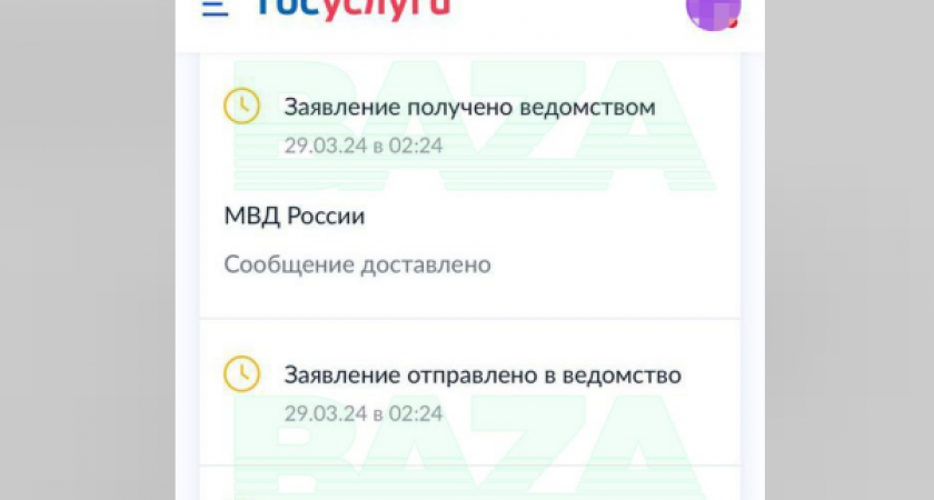 Восемь незнакомцев в одной квартире: абсурдные последствия утери пароля на Госуслугах
