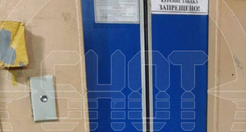 Кровавая расплата за любовь к собаке! Школьница изувечена лифтом