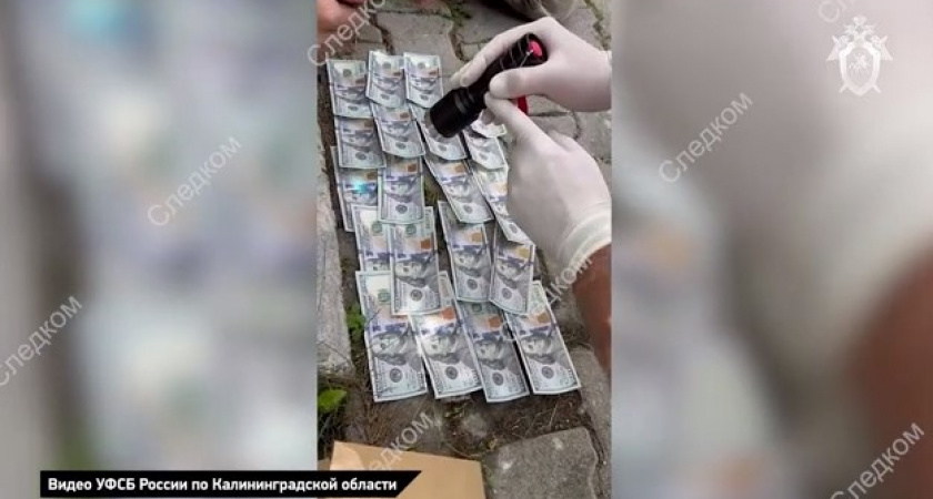 Взяли с поличным: за что будут судить бывшего лучшего участкового в Калининградской области (ВИДЕО)