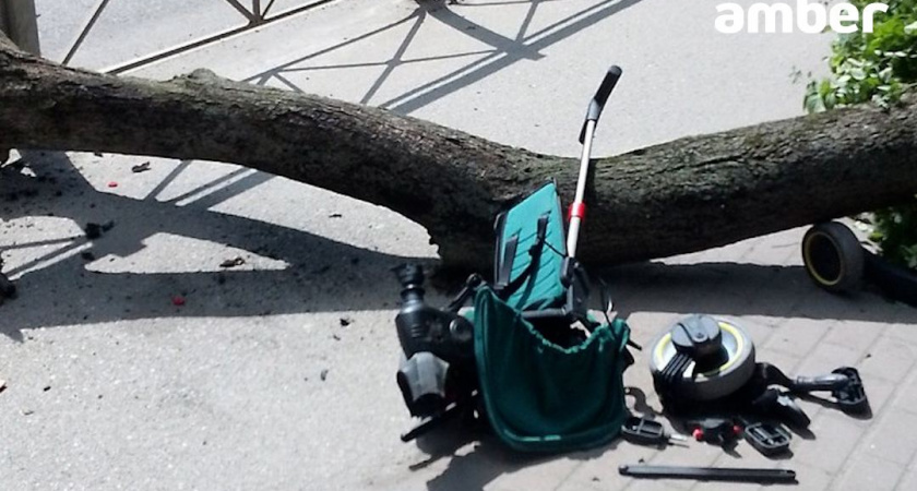 Труп в поликлинике, упавшее дерево на ребенка. Важные события минувшего дня в Калининграде