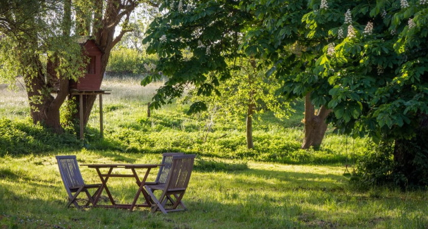 Теперь придется все засаживать: в правительстве сообщили, с какими проблемами столкнутся садоводы в ближайшем будущем