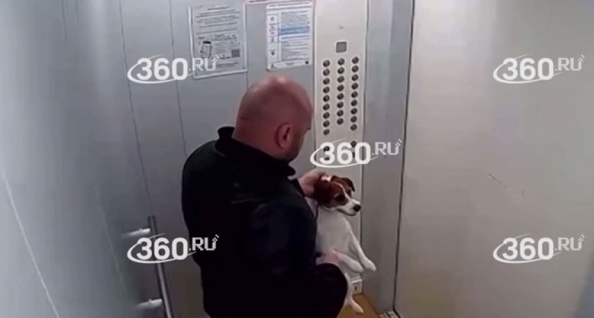«Пинал ногами до самой квартиры» В сети появились кадры жуткого избиения щенка в Челябинске (ВИДЕО)