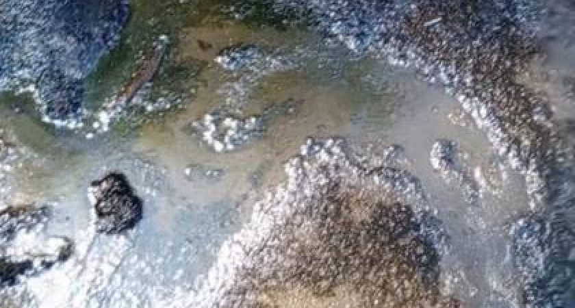 Что обнаружили отдыхающие на пляже в Отрадном