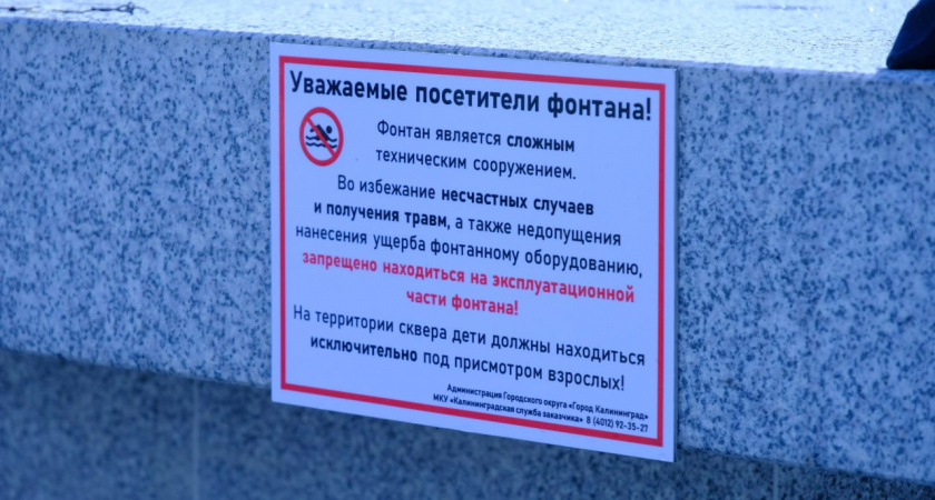 Что власти Калининграда попросили не делать детям в центре города
