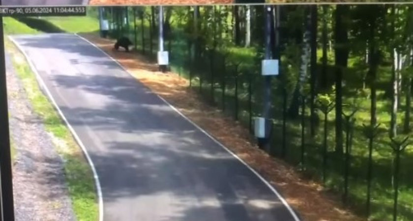 Зашел не в то место и перепутал детей. Что произошло в Красноярской Академии биатлона (ВИДЕО)