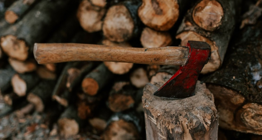 «Почти неделю пил с головой деда на кухне» Как россиянин с топором жестко разрешил конфликт со своим ворчащим родственником 