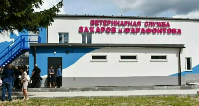 УЗИ, рентген и МРТ для животных: в Калининградской области заработала инновационная ветлечебница