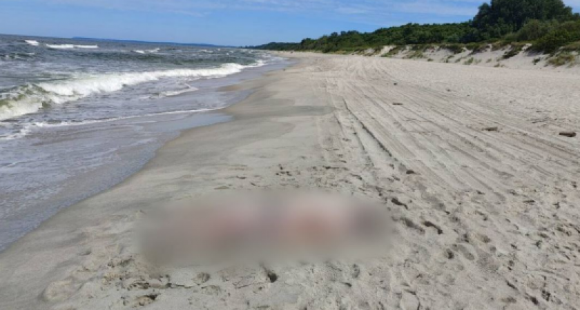 Смертельное купание: в Балтийском море утонул житель Светлого