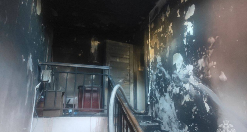 В пожаре на улице Бронесной спасатели эвакуировали 4 человека, двое из них дети (ВИДЕО)