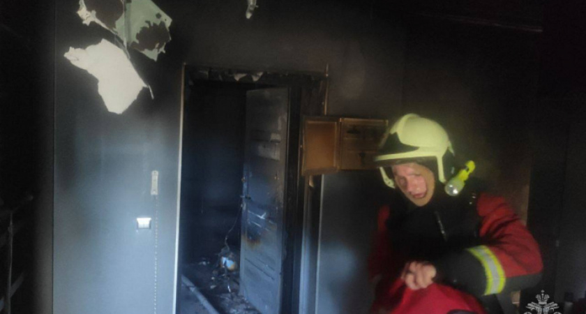 Расширение свалки в Барсуковке и пожар на Броненосной. Сводка главных новостей за 24 июня