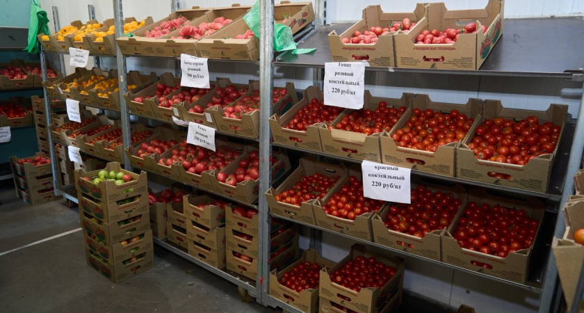 Врио губернатора Беспрозванных ответил на жалобы жителей по поводу цен на ключевые продукты в Калининградской области