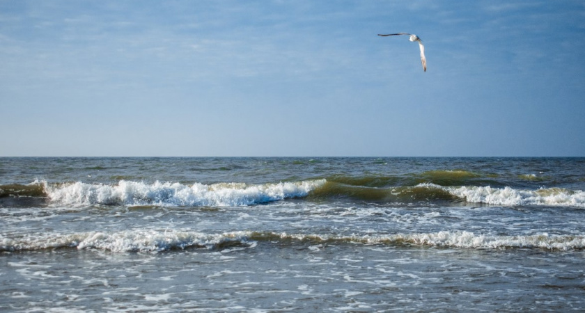 Погода дает жару. Сразу несколько рекордов вчера зарегистрировали в Калининградской области