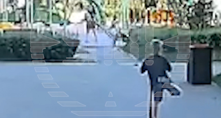 В Новосибирске агрессивный пес набросился на ребенка с самокатом (ВИДЕО)  