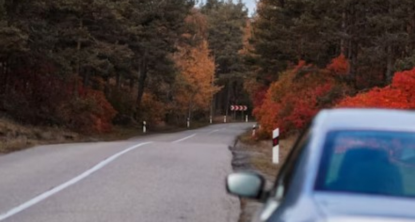 Важная новость: на Куршской косе образовался затор. Подробности
