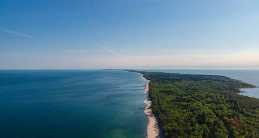 Что решат власти с постройкой гостиничного комплекса на Куршской косе? Ситуацию прокомментировал Алексей Беспрозванных 