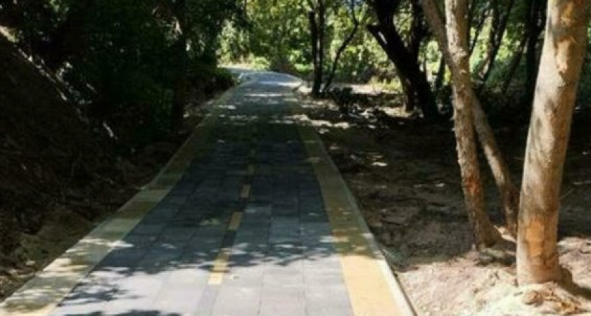 Калининградская область соединит Куршскую и Балтийскую косы велодорожкой к 2026 году