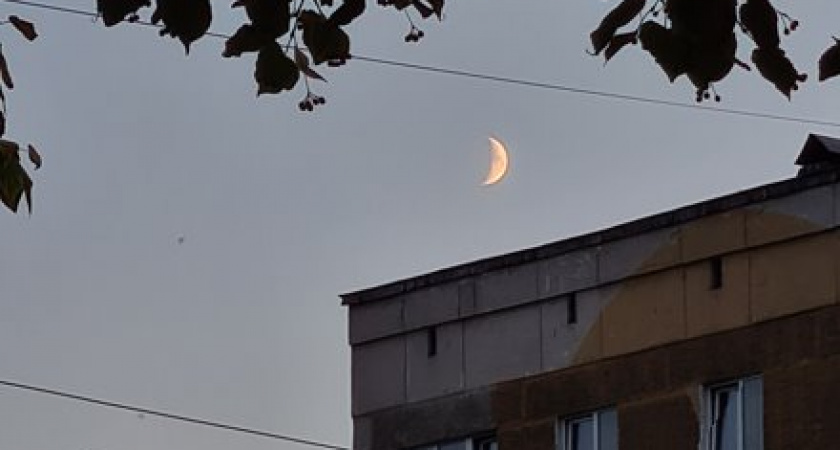 Облачный день с прояснениями: синоптики рассказали о погоде в Калининграде на 28 июля