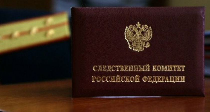 Бастрыкин требует отчета о массовом отравлении детей в лагере "Огонёк