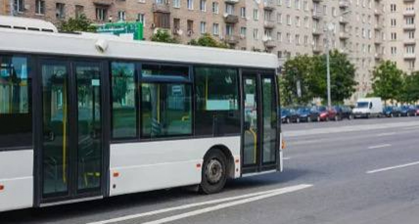 Остановить нельзя ехать: инцидент с автобусом на маршруте Светлогорск – Калининград