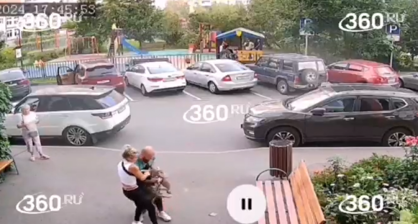 Хозяйка в шоке: на глазах у женщины бойцовская собака разорвала ее тойтерьера(ВИДЕО)