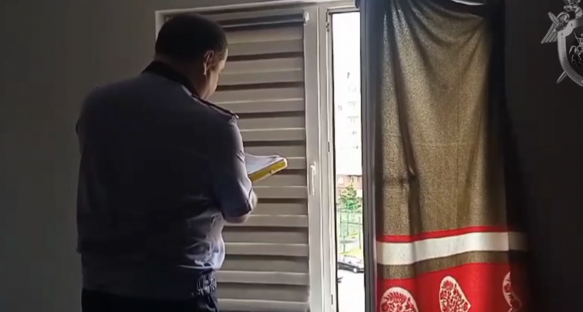Ребёнок выпал из окна: новые обстоятельства в деле(ВИДЕО)