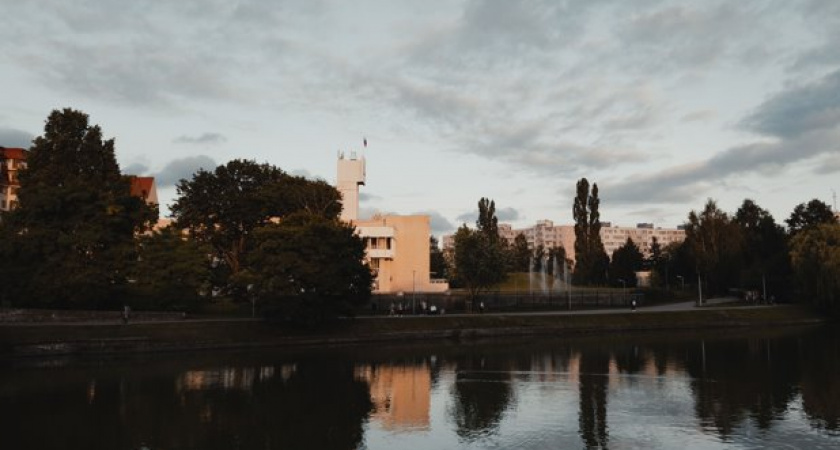 Прохлада по утрам, тепло днём: погода в Калининграде на 10 августа