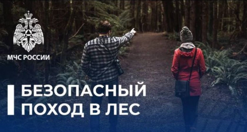 24 случая, 30 спасенных: тревожная статистика калининградских лесов