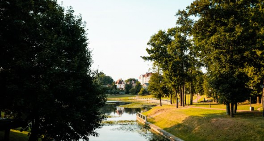 Синоптики рассказали, какая сегодня будет погода в Калининграде