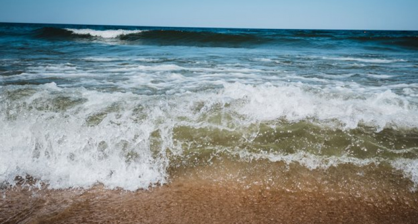 Чёрные флаги над Балтикой: тотальный запрет на купание в Калининградской области