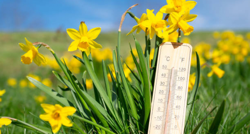 Тепло и грозы. Расскажем обзор погоды на выходные дни