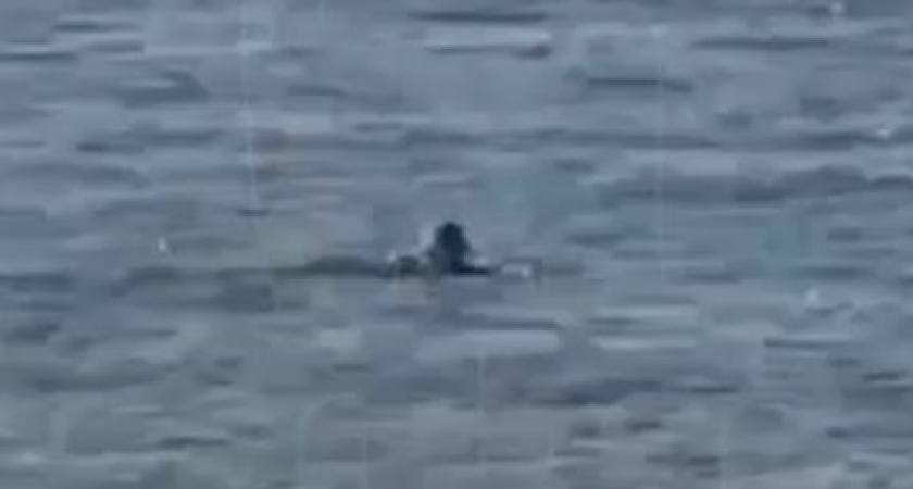 Инсульт не помеха: Как бабушка бросила вызов морю и спасателям (ВИДЕО)