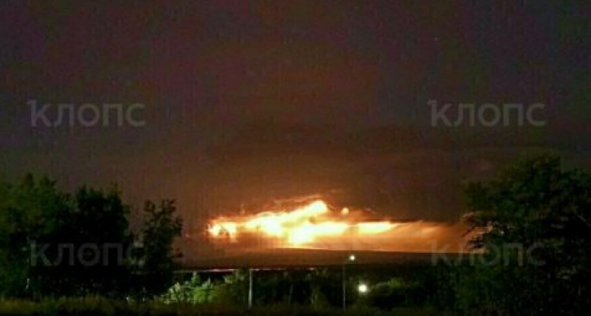 Камчатка под пеплом: начало активности вулкана Шивелуч