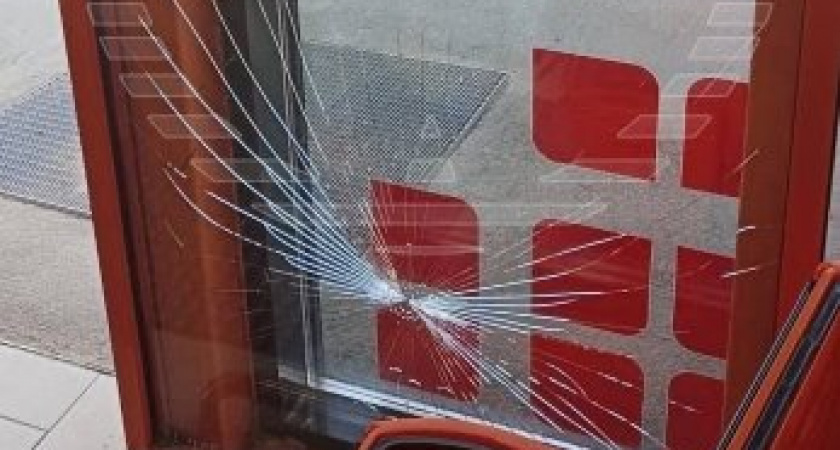 Бита, угрозы и украденные продукты: Новая соседка терроризирует жилой комплекс (ВИДЕО)