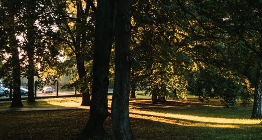 Погода в Калининграде на 25 августа: В ожидание осадков