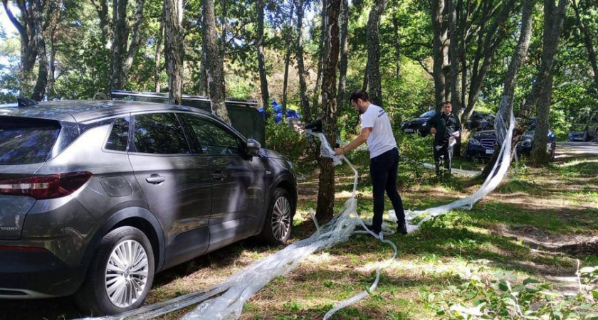 Рейд по выявлению природных нарушений провели на пляже в поселке Куликово (ФОТО) 