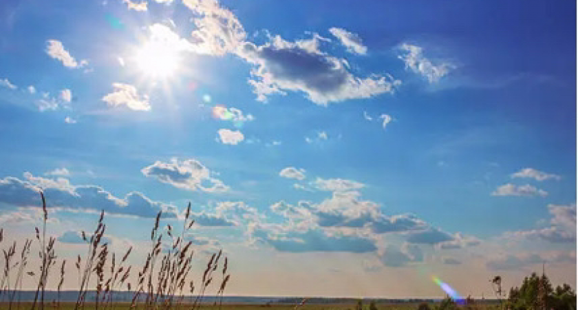 День обещает быть солнечным и тёплым: Не упустите шанс провести его на природе